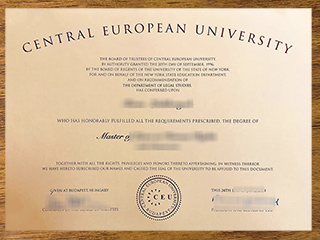 Central European University degree