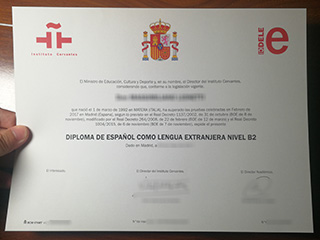 DELE B2 certification