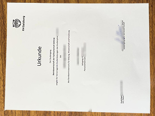 FH Salzburg degree