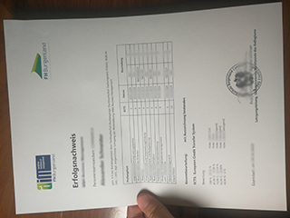 FH Burgenland transcript