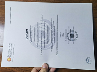 Hochschule Burgenland degree