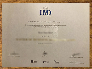 International Institute for Management Development degree