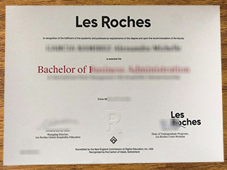 Les Roches degree