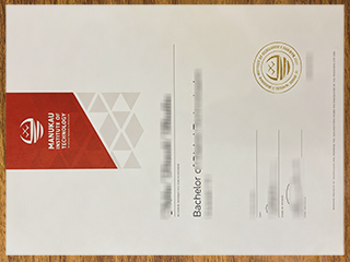 Manukau Institute of Technology degree