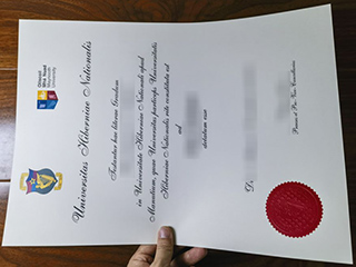 Maynooth University degree