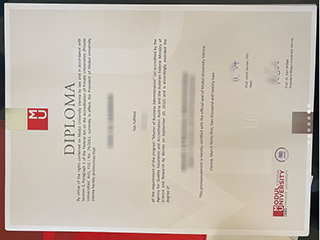 Modul University Vienna degree