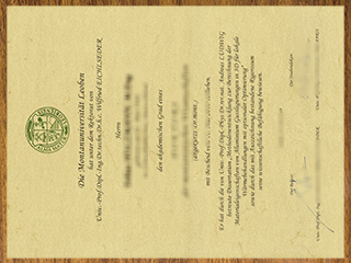 Montanuniversität Leoben degree