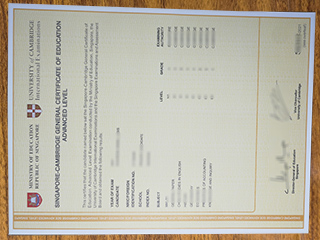 Singapore‑Cambridge Level 0 certificate