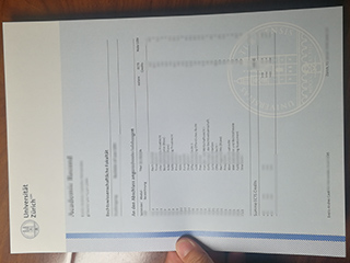 Universität Zürich transcript