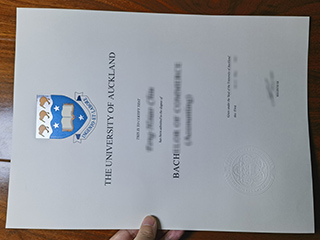 University of Auckland degree