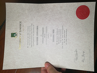 University of Limerick degree