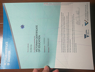VCE diploma