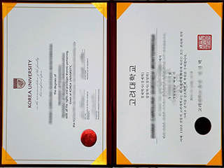 Korea University degree