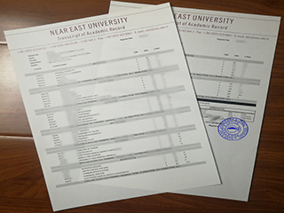 NEU transcript