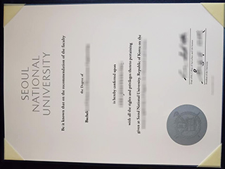 Seoul National University degree