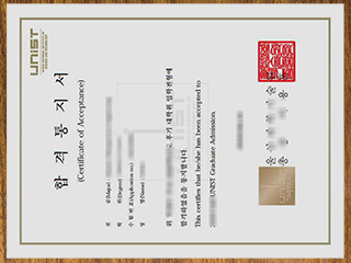 Ulsan National Institute of Science and Technology degree