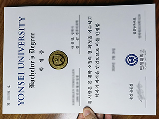 Yonsei University degree